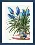 Cross-stitch kit M-255 "Sky-blue tulips"