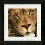 PN-0154980 Counted cross stitch kit LanArte "King of Animals"