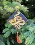Christmas tree toy cross-stitch kit Т-36 Set of pictures "Chinese horoscope" 