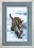 Cross-stitch kit А-091 "Lynx"