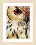 PN-0157518 Counted cross sstitch kit LanArte "Owl"