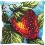 Cross-stitch kit RT-126 "Strawberry"