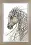 Cross-stitch kit M-291 "Fantastic horse"