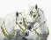 Cross-stitch kit М-426 "Wedding horses"