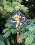 Christmas tree toy cross-stitch kit Т-38 Set of pictures "Chinese horoscope" 
