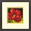 71-07246 Counted cross stitch kit DIMENSIONS "Red Poppy"