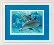 06944 Counted cross stitch kit DIMENSIONS "Deep Sea Dolphins"
