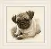 PN-0169650 Набор для вышивки крестом Vervaco Pug dog "Мопс". Catalog. Kits