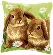PN-0162709 Набор для вышивания крестом (подушка) Vervaco Two rabbits  "Два кролика". Catalog. Kits