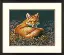 70-35318 Набор для вышивания крестом DIMENSIONS Sunlit fox "Лиса, освещенная солнцем". Catalog. Kits