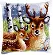 PN-0147043 Набор для вышивания крестом (подушка) Vervaco Deer family "Семья оленей". Catalog. Kits