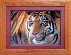 Набор для вышивки крестиком Чарівна Мить №469 "Тигр"  . Catalog. Kits