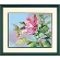 91419 Набор для рисования красками по номерам "Hibiscus Hummingbird" "Колибри и гибискус" Dimensions. Catalog. Kits