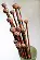 20224 Спицы прямые Symfonie Wood KnitPro, 35 см, 8.00 мм. Catalog. Knitting. Needles