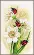 PN-0190657 Набор для вышивки крестом LanArte Ladybug parade "Парад божьих коровок". Catalog. Kits