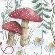 70-35430 Набір для вишивання хрестом «Woodland Magic//Магія лісу» DIMENSIONS. Catalog. Kits