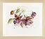 PN-0008026 Набор для вышивки крестом LanArte Fuchsia in Watercolour "Фуксия в акварели". Catalog. Kits