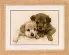 PN-0012170 Набор для вышивки крестом Vervaco Labradorpups "Щенки лабрадора". Catalog. Kits
