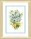 ВТ-060 Набор для вышивания крестом Crystal Art "Весенний букет". Catalog. Kits