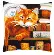 PN-0163873 Набор для вышивания крестом (подушка) Vervaco Cat and Books "Кот и книги". Catalog. Kits