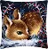 PN-0158266 Набор для вышивания крестом (подушка) Vervaco Little deer "Маленький олень". Catalog. Kits