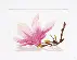 PN-0008304 Набор для вышивки крестом LanArte Magnolia Twig with Flower "Веточка магнолии". Catalog. Kits