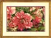 70-35298 Набір для вишивання хрестом DIMENSIONS Коралові півонії • Coral Peonies. Catalog. Kits