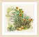 PN-0007988 Набор для вышивки крестом LanArte Wheelbarrow & sunflowers "Подсолнухи и телега". Catalog. Kits
