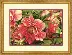 70-35298 Набор для вышивания крестом DIMENSIONS Coral Peonies "Коралловые пионы". Catalog. Kits