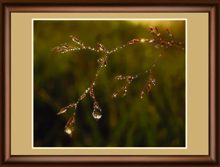 Набор картина стразами Crystal Art КС-1075 "Утренняя роса". Catalog. Kits