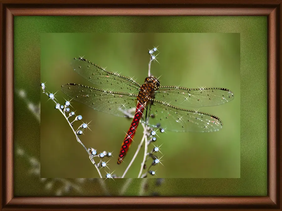 Набор картина стразами Crystal Art КС-1068 "Полёт стрекозы". Catalog. Kits