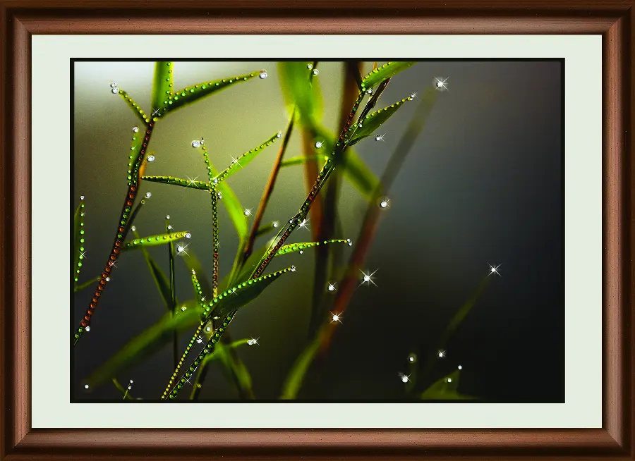 Набор картина стразами Crystal Art КС-1015 "Сияние росы". Catalog. Kits